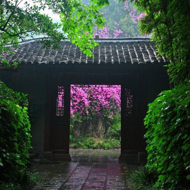 Shin House炘宿，一所真正的“設(shè)計師民宿”