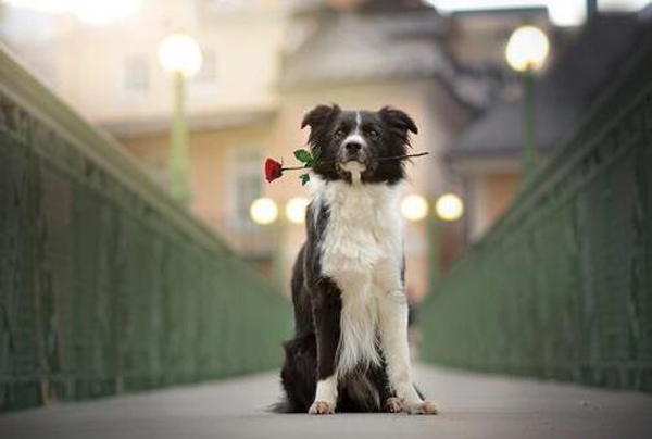 學會這些風水絕招，讓你告別單身的日子
