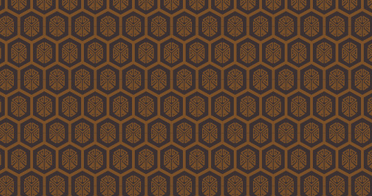 中國傳統(tǒng)明代服飾六邊形線圖案，矢量素材