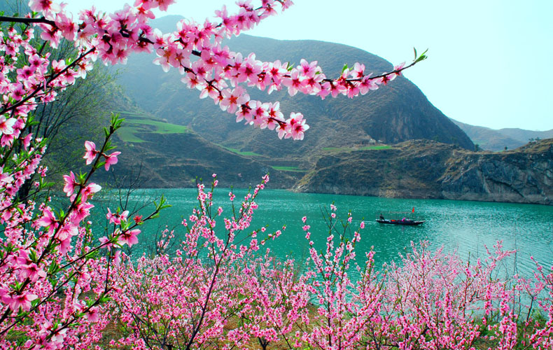 知道這些風(fēng)水布局，讓你的桃花運(yùn)滾滾而來