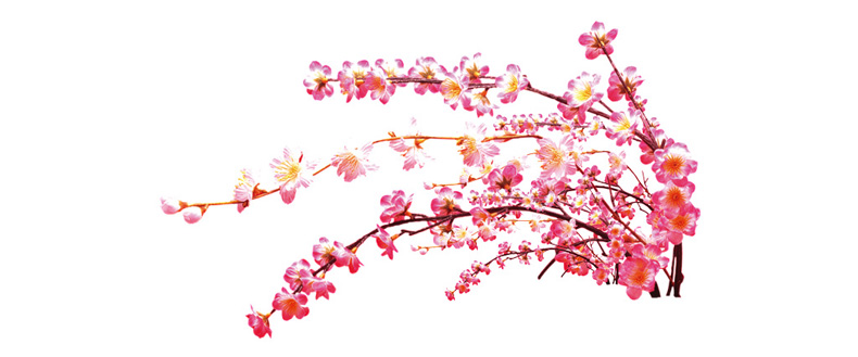 你知道如何看桃花運嗎？風水學來教你