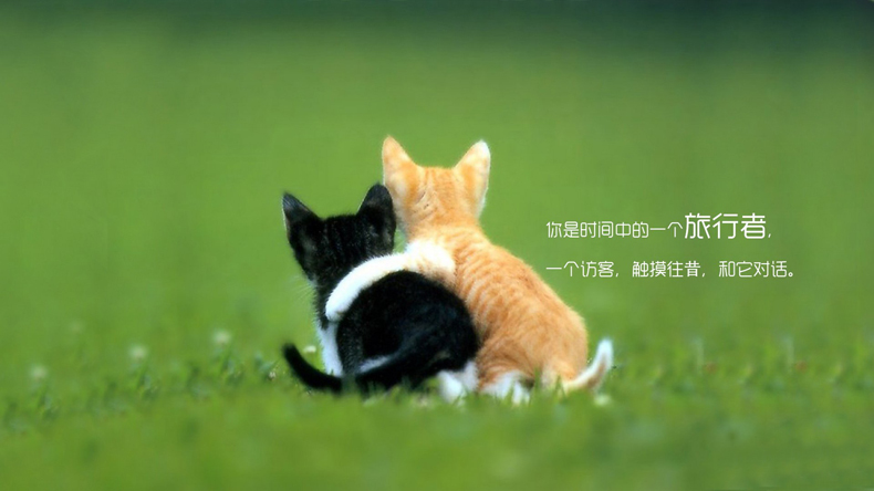 掌握這些風水小妙招，讓你的愛情更加甜蜜