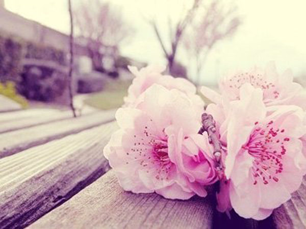 咸池桃花是什么？咸池桃花如何化解？